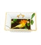 Amazónia Small Square Tray