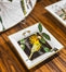 Amazónia Small Square Tray