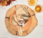 Owl Napkin Ring - White/Brown (S/4)