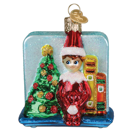 Scout Elf Storytime Christmas Ornament