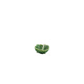 Cabbage Natural Small Leaf 9 cm / 3 in