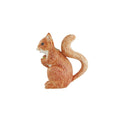 Pitchers Squirrel Pitcher 1.15L / 50 oz