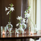 Bud Vase Clear with Green Rope