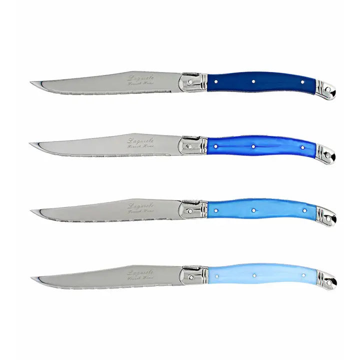 Steak Knives Set of 4 in Shades of Blue