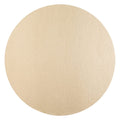 Platinum Lizard Ttop Placemat Round Felt 14.5 In (Set of 4)
