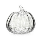 Crackle Pumpkin in Gift Box - M