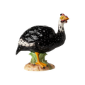Guinea Hen, Female