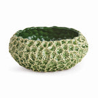 Aster Decorative Bowl in Green