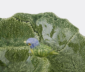 Cineraria Appetizers Plate