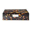 Large Tortoiseshell Box with Silver Clasp