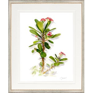 Botanical 5