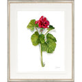 Botanical 6