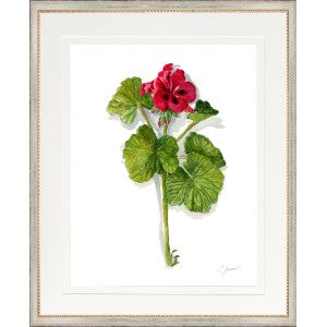 Botanical 6
