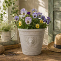 Cast Cement Lion Head Planter