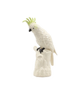 Cockatoo