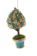 Pear Tree
