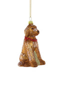 Labradoodle