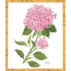 Sherrill Hydrangea Blooms 6-8