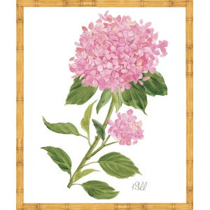 Sherrill Hydrangea Blooms 6-8