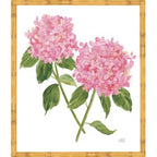 Sherrill Hydrangea Blooms 6-8