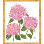 Sherrill Hydrangea Blooms 6-8