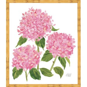 Sherrill Hydrangea Blooms 6-8