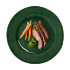 Puro dinner plate in basil green with sliced beef, broccoli, and carrots arranged on a white background.