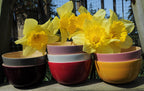 Snack Bowl Pink
