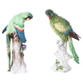 Pair Green Parrots