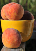 Fruit Bowl