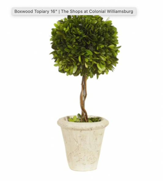 16" Boxwood Topiary
