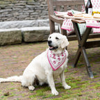 Rose Wine Napkin S/4