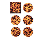 Tortoiseshell Coaster Set of 6