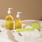 Fresh Verbena Hand & Body Lotion in Glass Pump