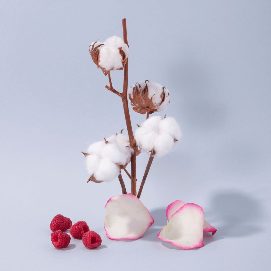 Cotton Flower Hand & Body Wash in Glass Pump