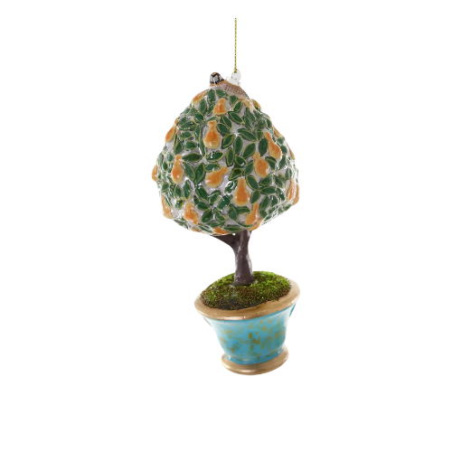 Pear Tree