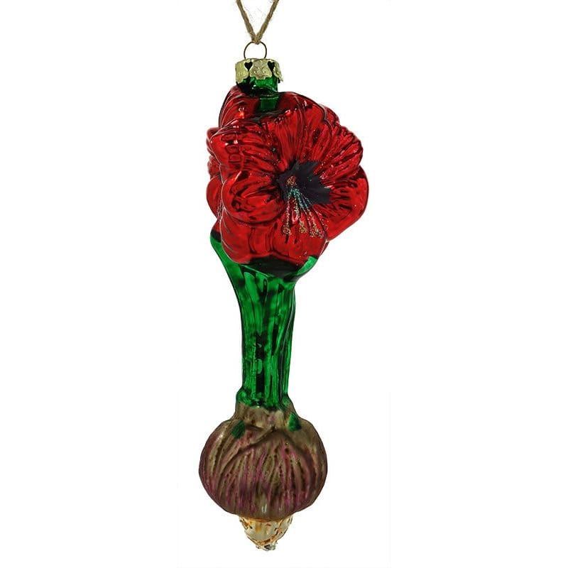 Amaryllis Bulb Ornament