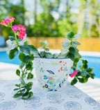 Nymphea - Paradis bleu Coffeepot
