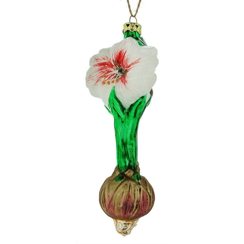 Amaryllis Bulb Ornament