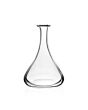 Whitney Carafe Bottle